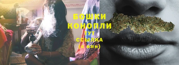 прущие крисы Мегион