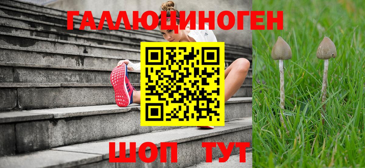 Псилоцибиновые грибы Magic Shrooms Янаул