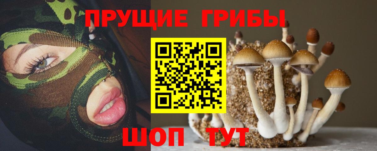 Янаул  Галлюциногенные грибы Psilocybine cubensis  закладка  Вход с VPN  Галлюциногенные грибы MAGIC MUSHROOMS 